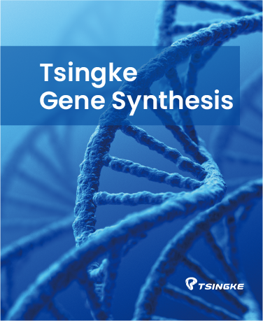 Tsingke Gene Synthesis Brochure