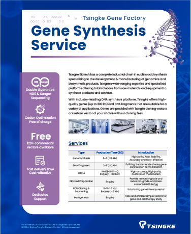 Tsingke Gene Synthesis Flyer
