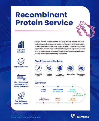 Tsingke Recombinant Protein Flyer
