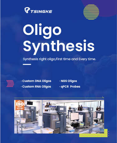 Tsingke Oligo Synthesis Brochure