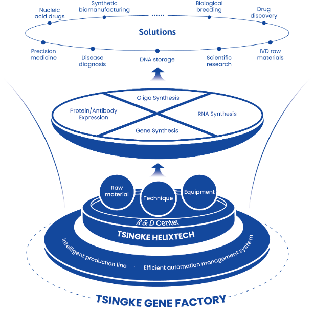 Tsingke Gene Factory: Shaping the Future of Genetic Synthesis with Autonomous Industry Chains