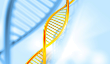 Gene Synthesis: A Booster for the Development of Biological Breeding