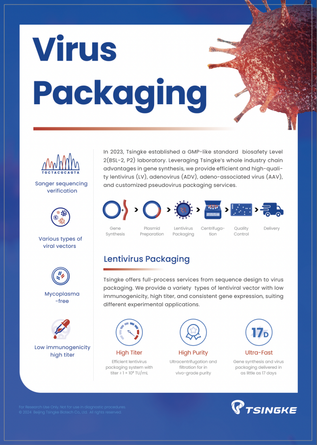 Tsingke Virus Packaging Flyer