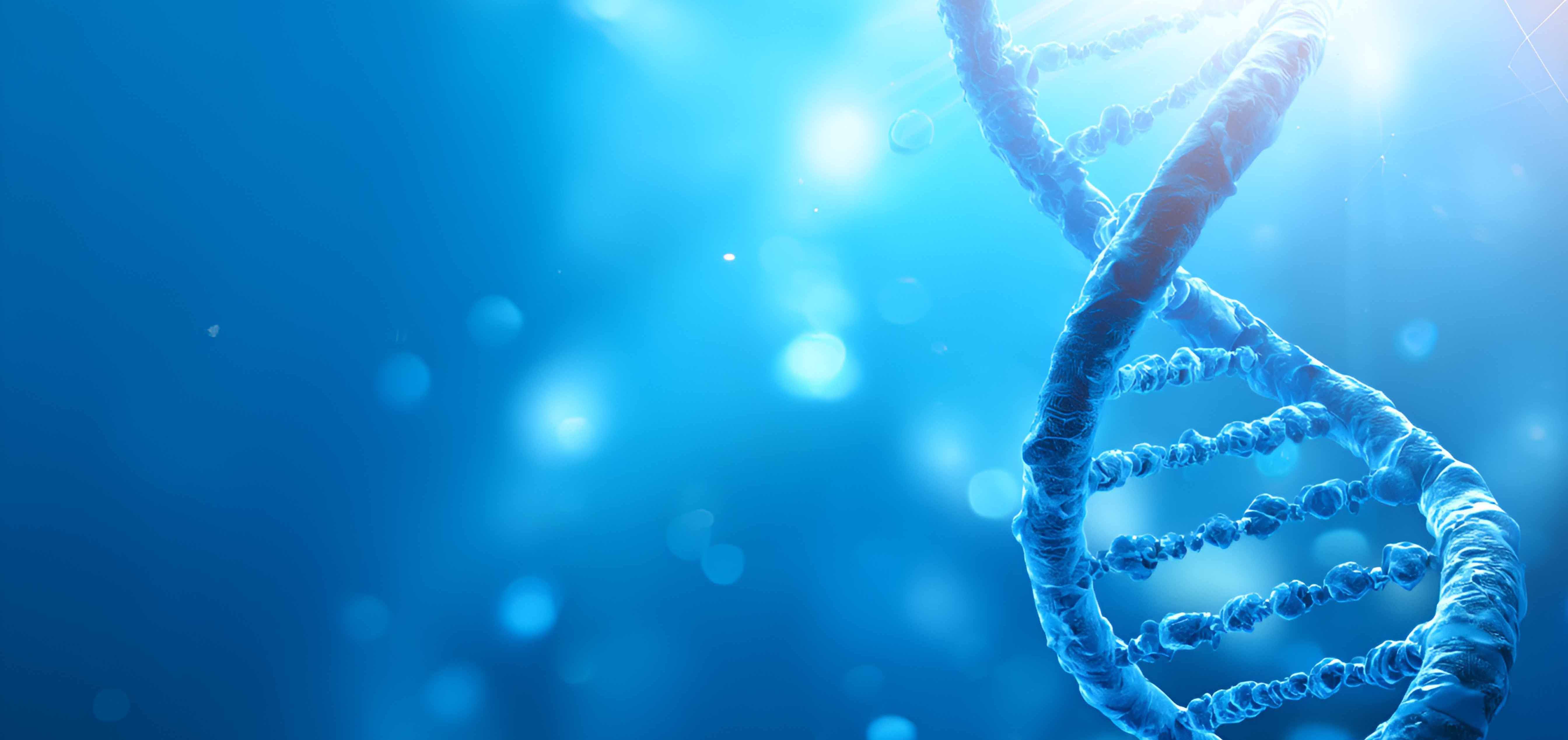 Gene Fragment Synthesis vs Full-Length Gene Synthesis Gene Fragment Synthesis vs Full-Length Gene Synthesis