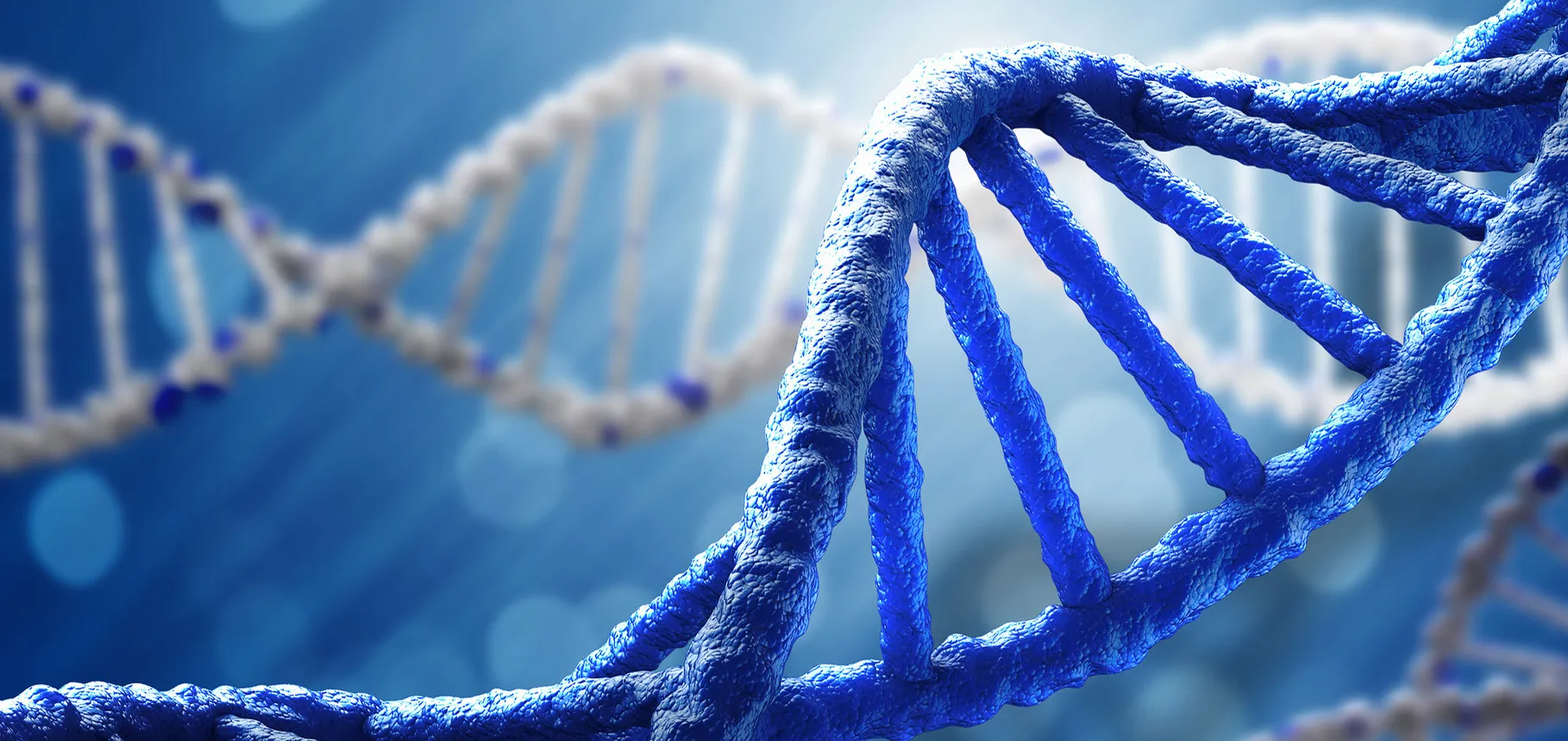 Artificial Gene Synthesis vs Traditional Cloning Methods Artificial Gene Synthesis vs Traditional Cloning Methods