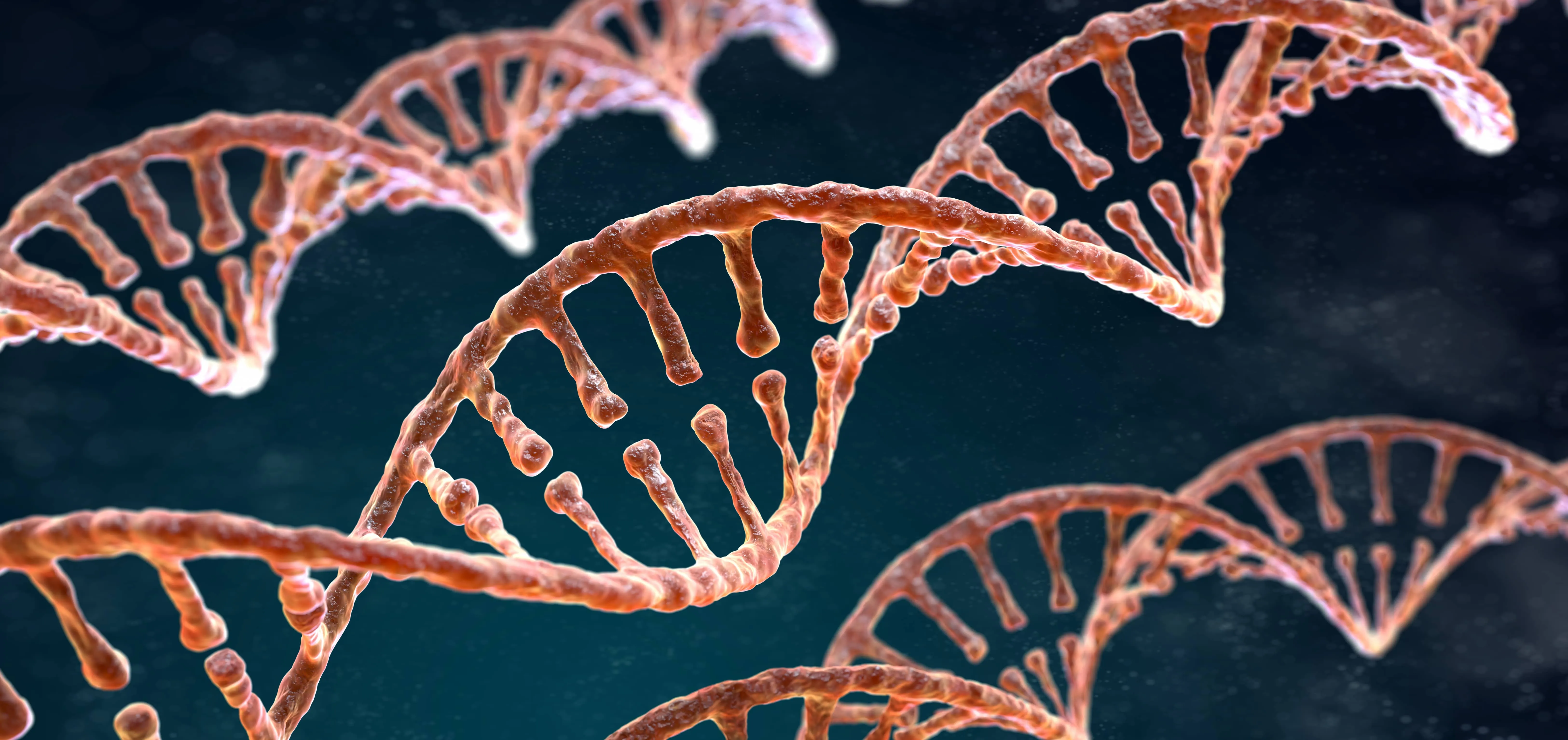 Gene Synthesis Process: Step-by-Step Industrial Workflow Gene Synthesis Process: Step-by-Step Industrial Workflow