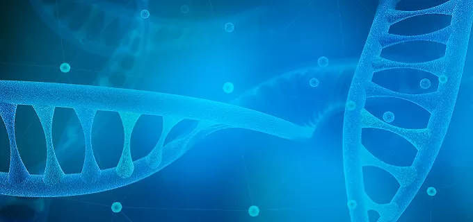 What Are Gene Fragments? What Are Gene Fragments?