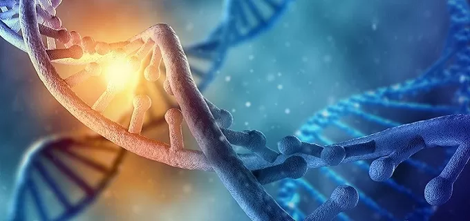 What Is Artificial DNA Synthesis? What Is Artificial DNA Synthesis?