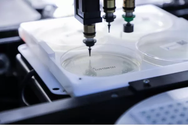 What is Gene Synthesis? What is Gene Synthesis?